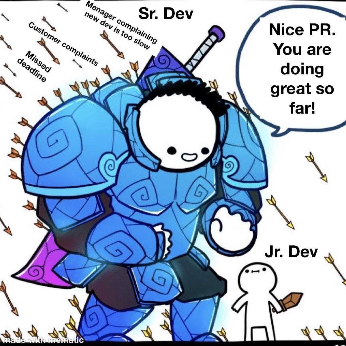senior_junior_pr